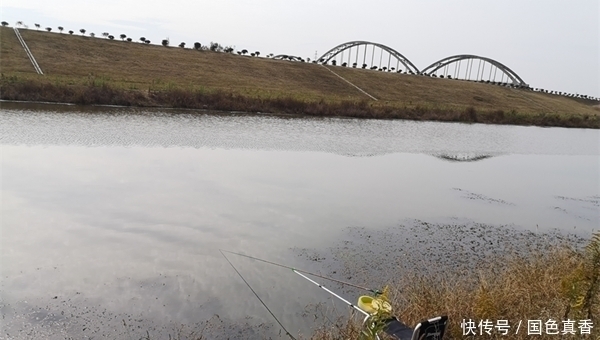 冬季钓鲫鱼,这四种钓点不能碰,再好的饵料也钓不到鱼