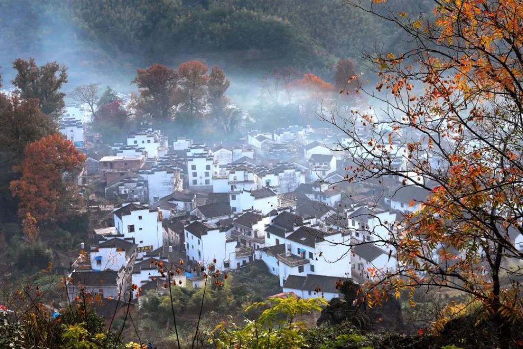 徽州|夏天成了故事 秋天已成风景 秋色徽州等你来