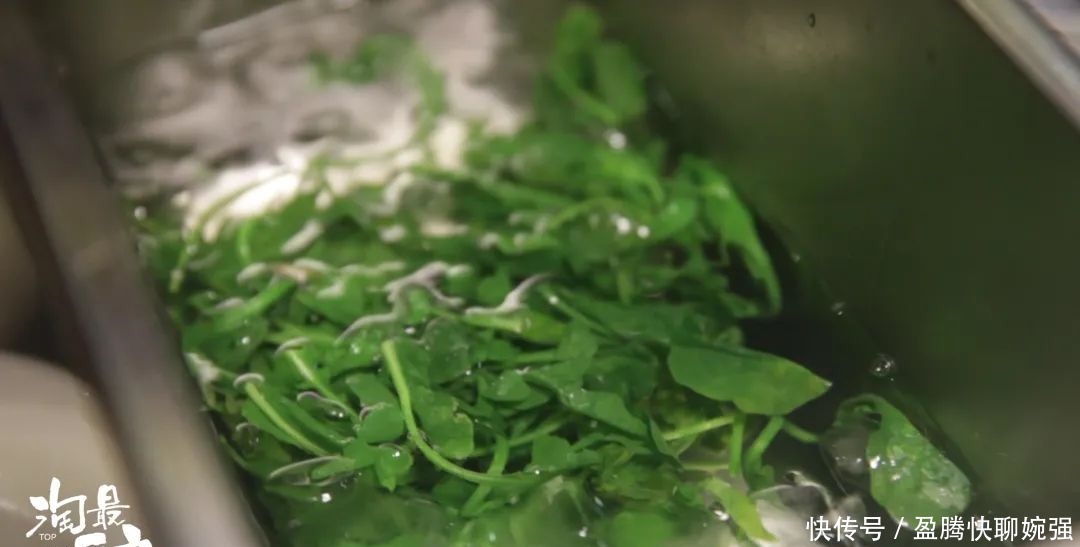 冬日吃荠菜,一锅鲜到底!