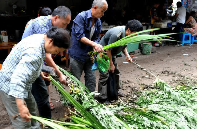 习俗|端午节插艾草有说法,老话说“五讲究三不挂”指的是什么?