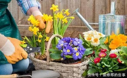 老花农的经验分享：养花做好3件事，什么花都能养活，3分钟学会！