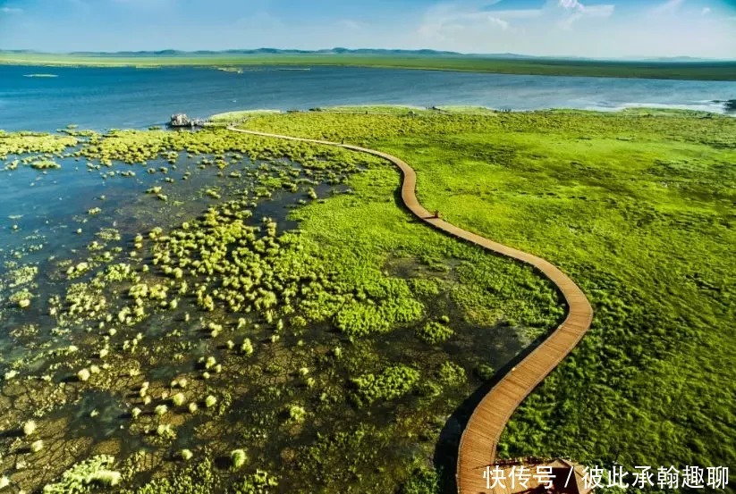 走，去阿坝州高原上看“海”！