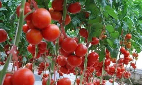 手脚麻木|多走路可以降低血脂?医生:不妨多吃这4种食物,或比走路效果好