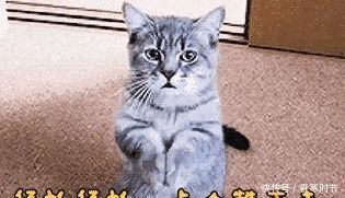 女人|一个女人，一辈子能怀孕多少次？答案让人意外！