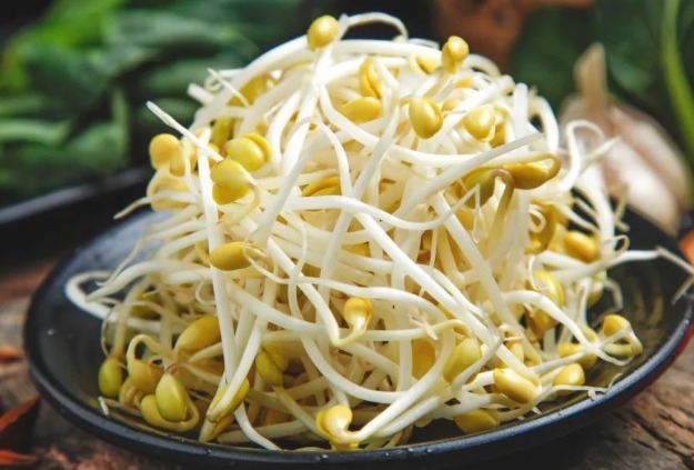 抗疲勞|黃豆芽還是高血壓的“特效藥”！延緩衰老抗疲勞，早知早健康