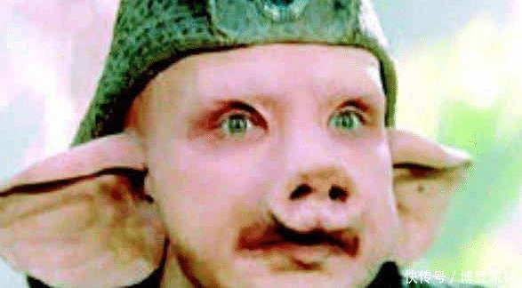 泰国|6个国家的“猪八戒”,忍了美国,泰国,韩国的实在忍无可忍