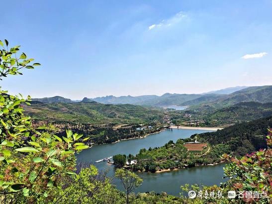 夏日|清风为歌，溪水作镜！济南章丘垛庄的夏日绚烂又明亮