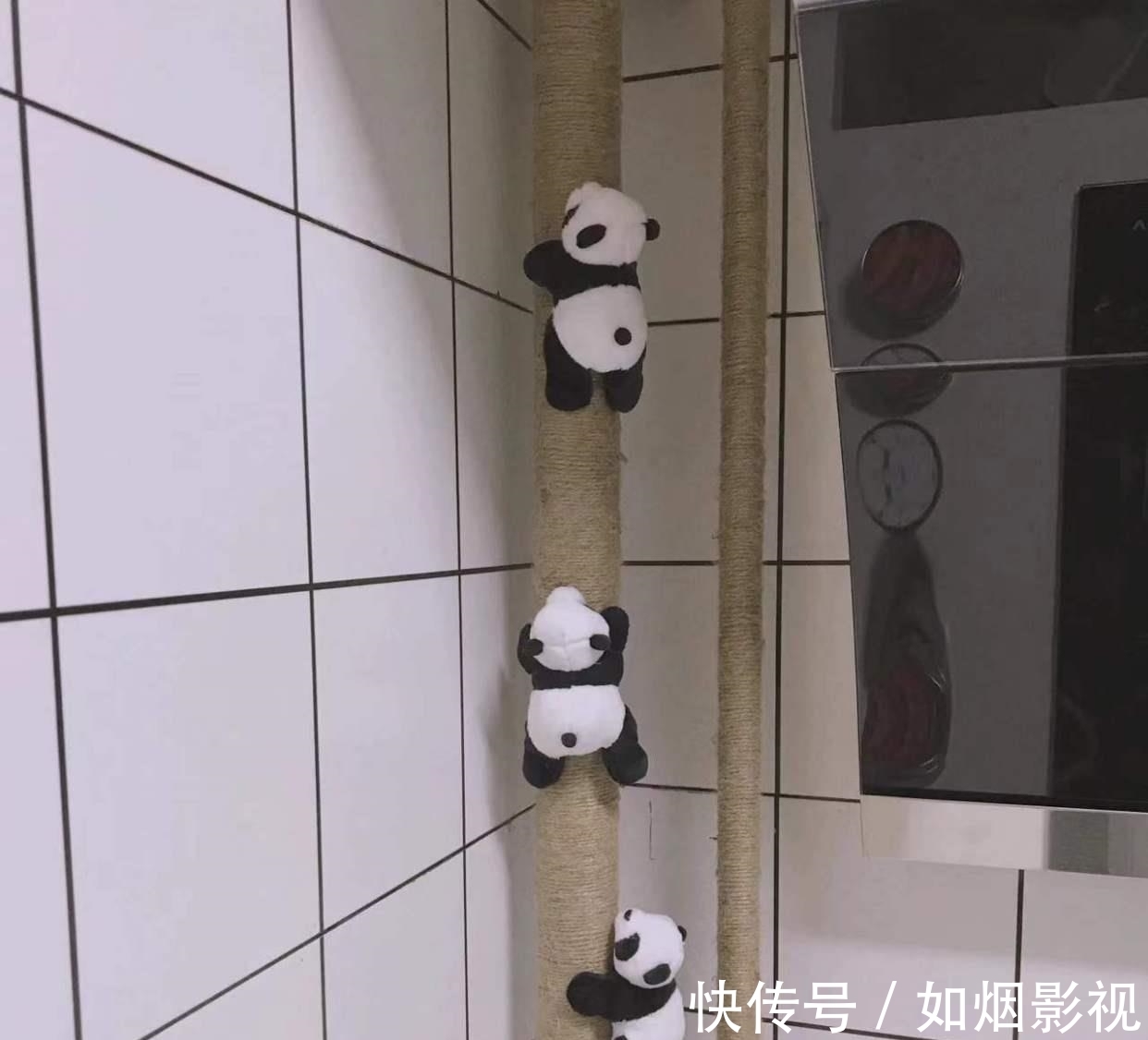 玻璃|江蘇30歲獨居女主,拒絕“過度裝修”,網友:你可以搬出去住嗎