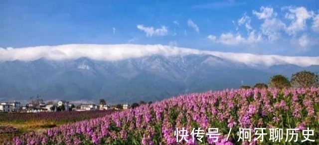 标题$苏轼这首诗标题就有31个字,不少人只记得其中7个字,千古名句