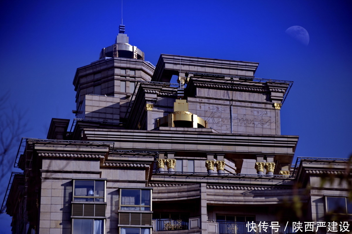 老年|新虹口花园的玉兰花开了【严建设】