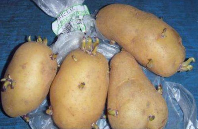 土豆发芽，吃掉还是扔掉之前做错了，快告诉家人，早知道早受益
