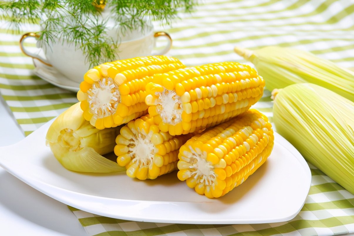 李玫瑾教授：孩子的大脑从饮食上就会产生影响，3点坏习惯要改正