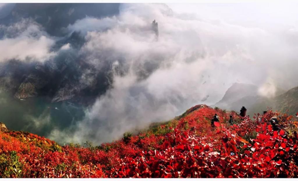  摄影王忠虎|红叶红遍山，巫山等你来！