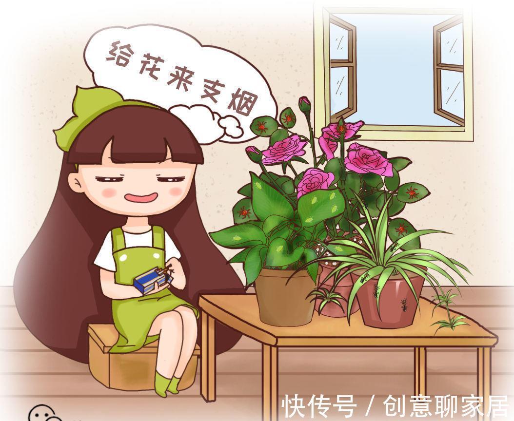 养花|自制养花杀菌水，一天喷一次效果好，安全无污染