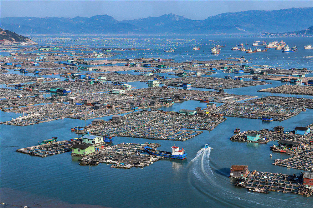 渔排|我国唯一的海上村庄，房屋都在海面上，就连台风也吹不走