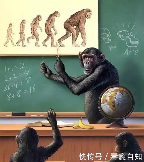 人可以设计出原子弹,登月,但除了种植,为什么造不出一粒米