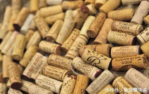  见过不要脸的人，那你见过不要“脸”的树吗？