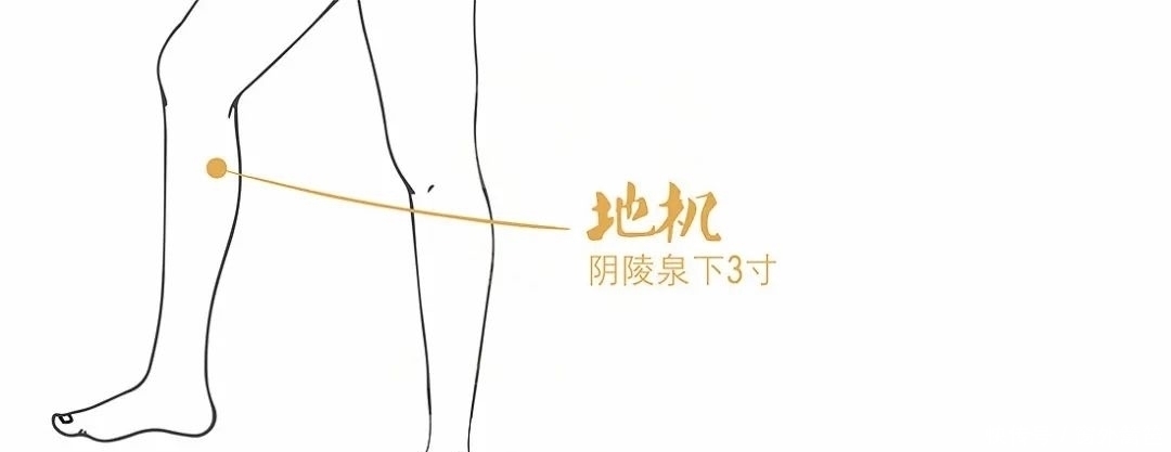漏谷穴|脾若有病，人废一半！打通这条经络，重病、急病、怪病难上身！