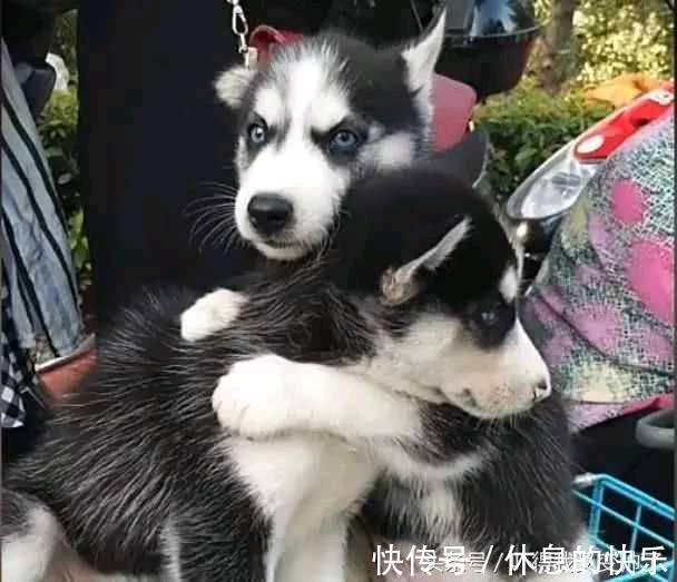 |开心一刻笑话:公交车上开着空调,我忍不住将体内的胀气排出体外