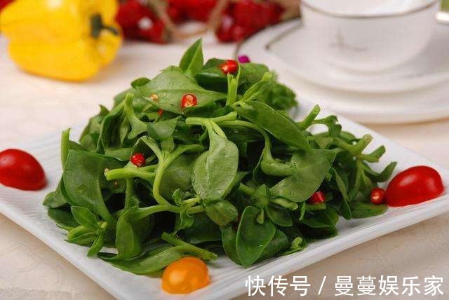 吊兰|叶上爬满小金鱼这款吊兰贼好养，用它喷一喷就开花！