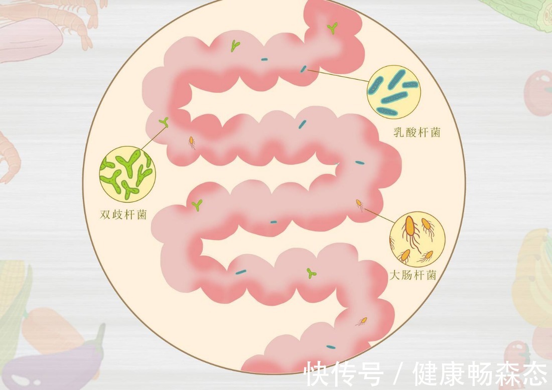 免疫细胞|口臭、皮肤过敏，这5个小毛病提示你肠道出了问题