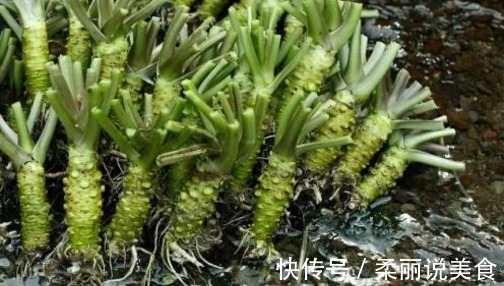 野菜|菜市场遇到3种菜必须买，个个都是宝贝，养生价值特别高