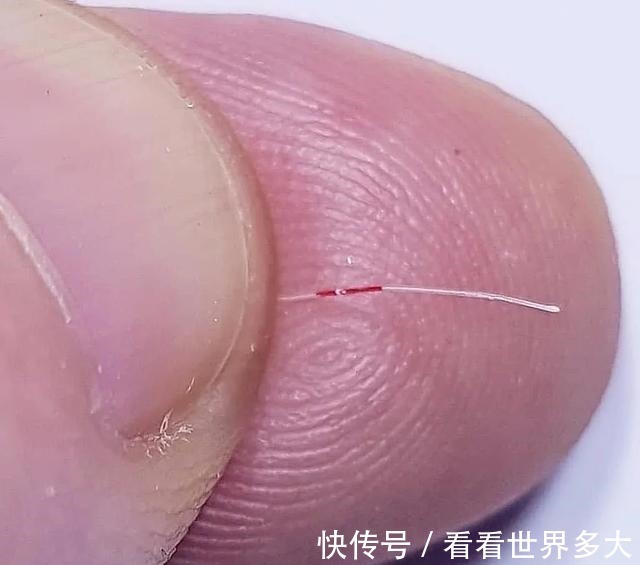 瓜子#惊爆眼球!60岁帅大爷在头发丝上画画,米粒、瓜子都给他当画布!