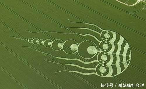 神秘的 麦田怪圈 到底是谁干的 快资讯 神秘的 麦田怪圈 到底是谁干的 快资讯