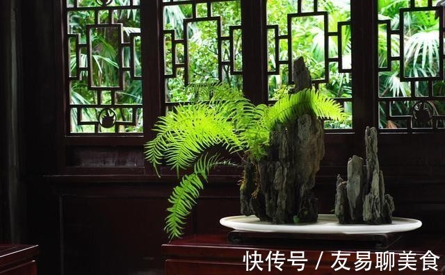 家庭盆景正确的摆放姿势，从4个方面来考虑，解决盆景放置的窘境