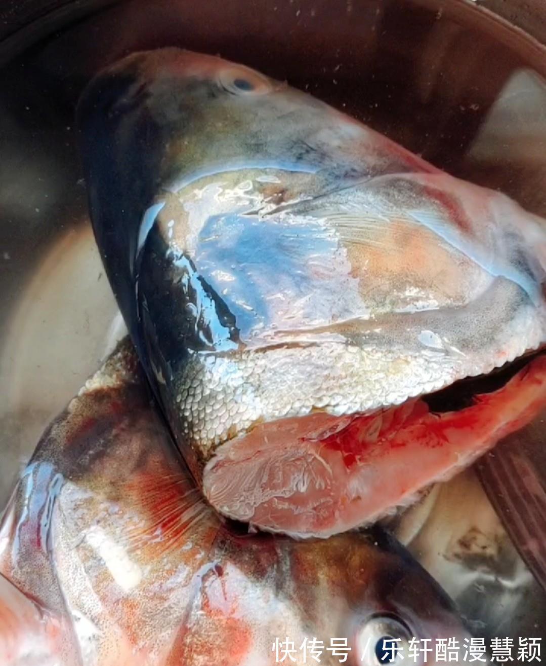 鱼头泡饼的做法