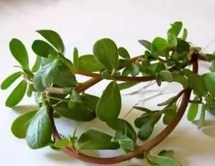  杀菌|养胃要先杀菌，多吃4样食物，少碰3件事