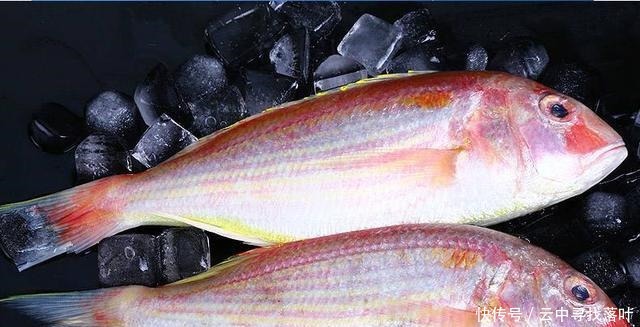 五种鱼都不能养,碰上就买吧!饮食过量对健康有益