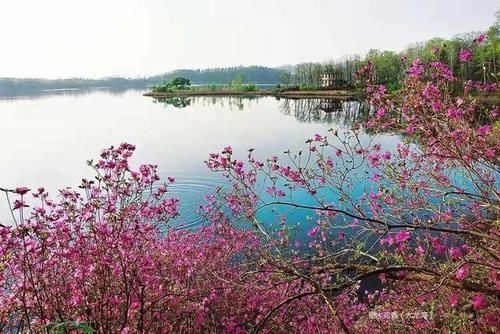 「“疫”去客来 加快复苏」花开时节，我在通化等你！