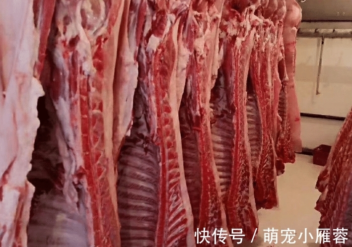 猪身上的这两个部位,营养最高,价格只有排骨一半,却鲜有人知道