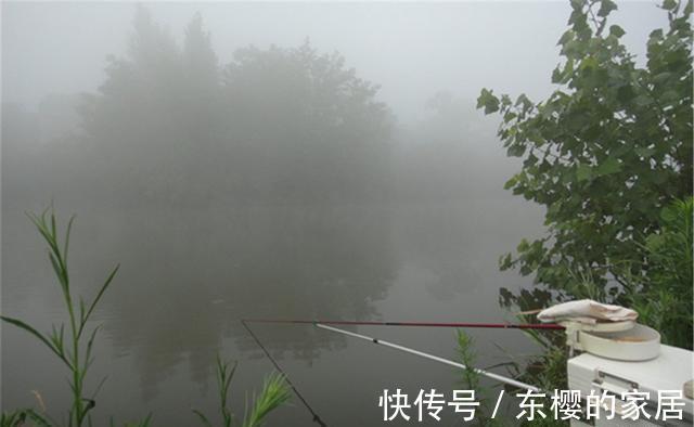 仲秋钓鲫鱼，有时要钓底，有时要钓浮，不考虑鱼层变化是没前途的