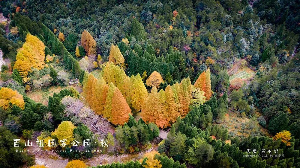 茶木淤|百山祖国家公园28°N的茶木淤，与秋天约会一场