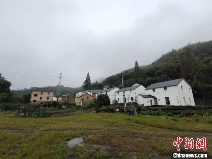 景山村|大山有“梦”：一个高山村的寻“富”路