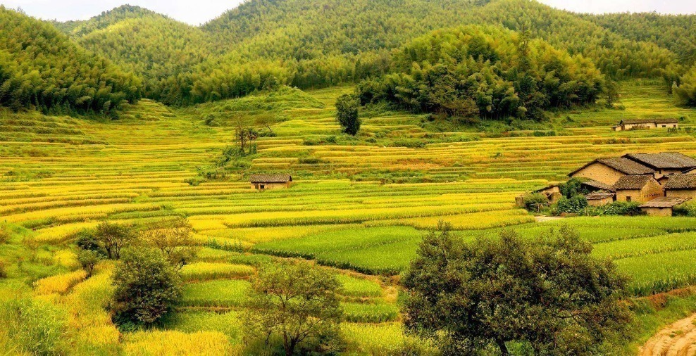 奇诗&北宋诗人写首“奇诗”,短短20字数字“一”到“十”全都有