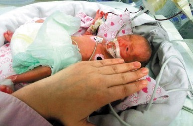 孩子|奶奶抱孙子去公园蹭奶,一星期后,亲手把孩子送进太平间