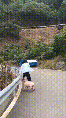 |搞笑GIF:妹子 你们成功欺骗了我的眼睛