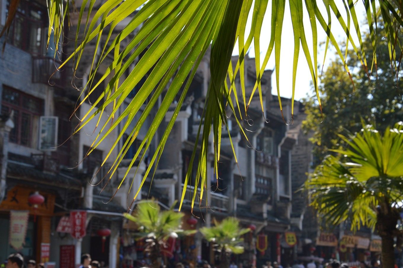 【带父母自驾5日】多彩贵州，醉美黔东南-镇远、西江、荔波自驾游