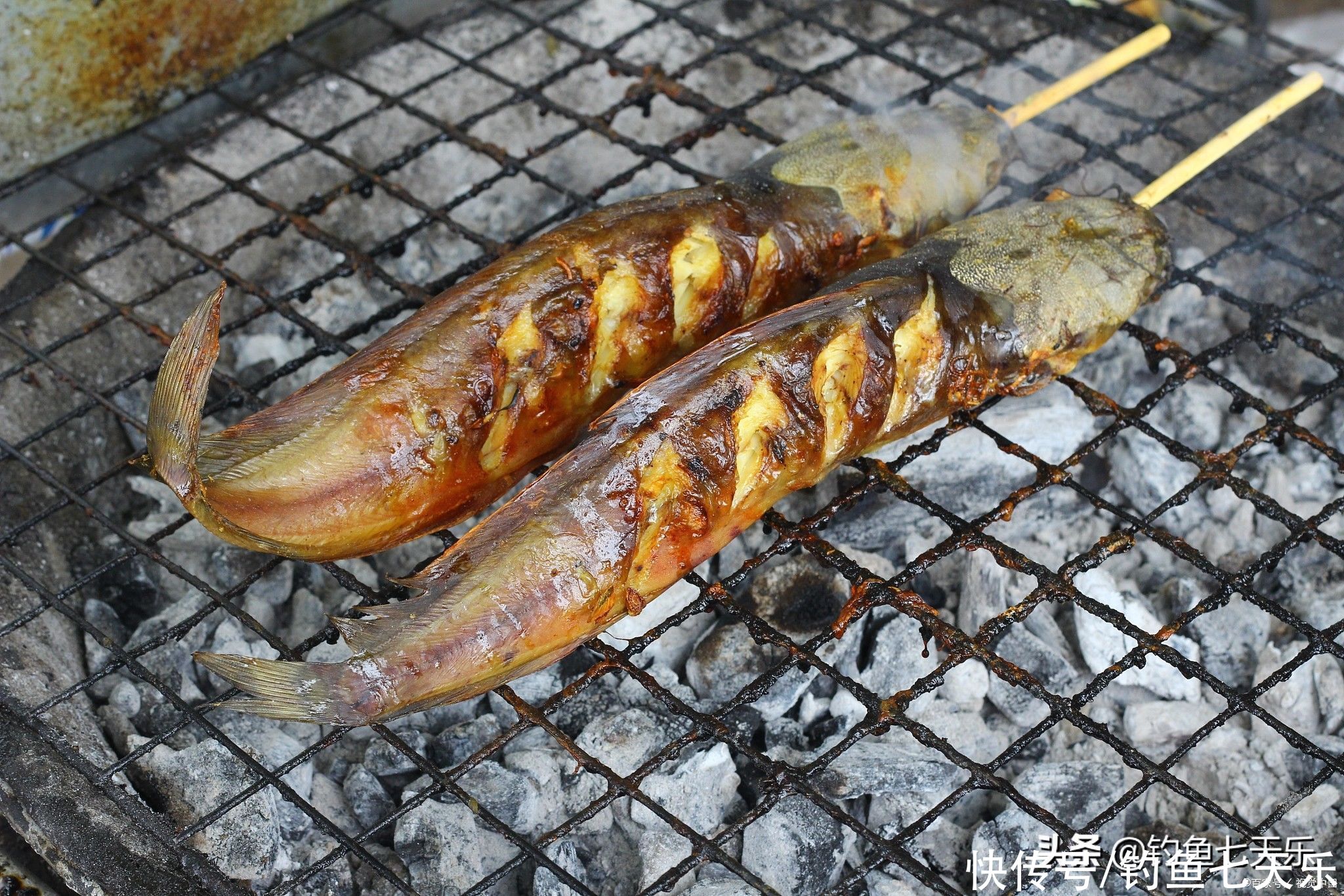 广东钓鱼人珠江边钓获大鲶鱼！钓友：数数胡须的数量，别乱吃