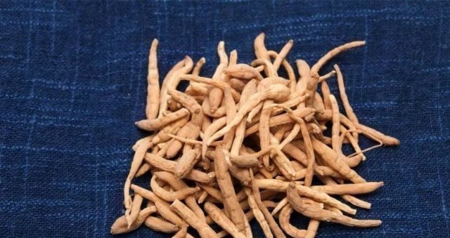 肺癌|劝告大家有一味中药健脾润肺,调理失眠,杀菌消炎,清肺化痰预防肺癌