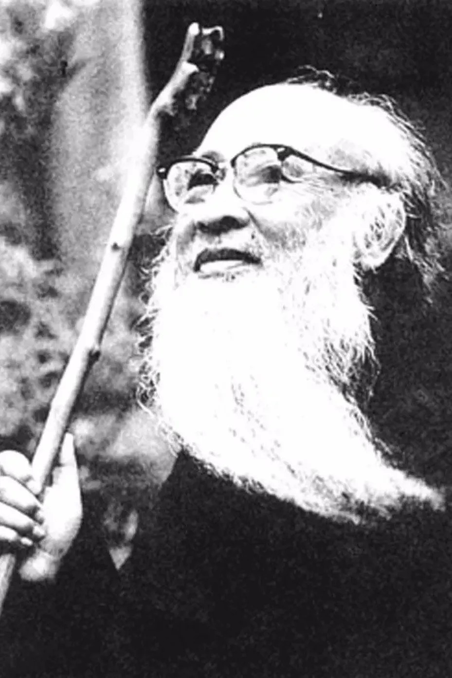 齐白石#看完这些作品,你就知道为什么备受争议的张大千画作能卖出天价