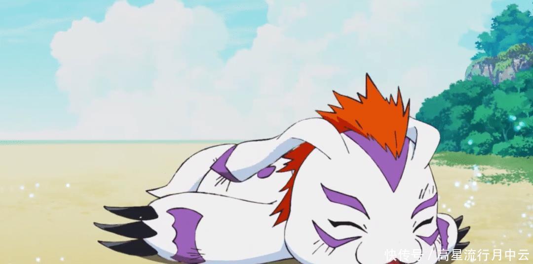 数码兽|新数码宝贝可爱的哥玛兽登场,阿丈拒绝帮助太一!