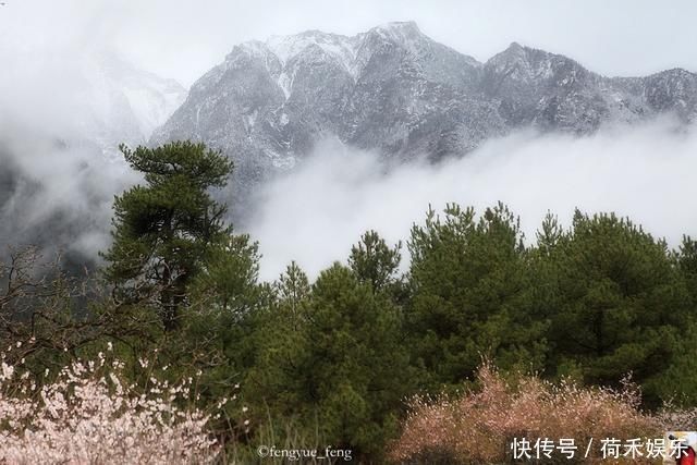 波密桃花开当桃花与雪山相遇，便成为云上仙境