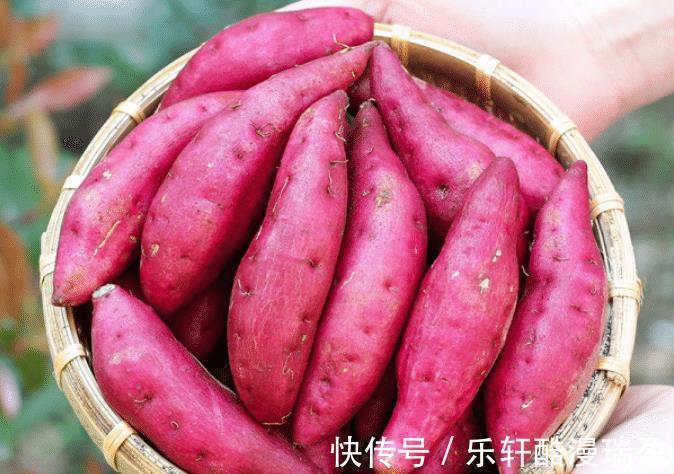 排骨|秋天多吃4种“土里鲜”,都是时令菜,新鲜营养高,别错过