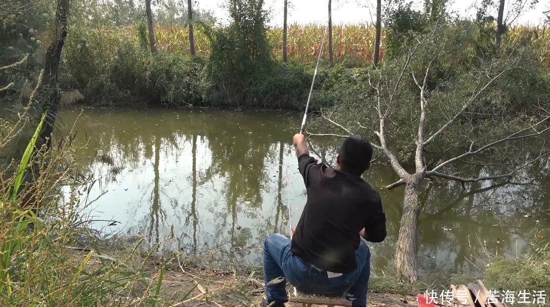 野钓:为何就是没有别人选的钓位好?鱼的这三个习性不可小觑!