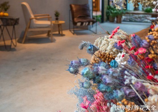 花材|鲜花做成干花，颜色质感有特点，还可以放在家中点缀