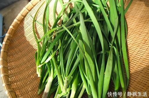 野菜|有一种野菜看上去像韭菜,却比韭菜功效强大很多,可通心阳